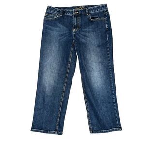 ANN TAYLOR Vintage Curvy Fit Lindsay Waist Medium Wash Jeans Size 10